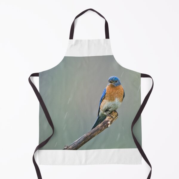 Item preview, Eastern Bluebird - Cayuga, Ontario, Canada designed and sold by Raymond J Barlow.