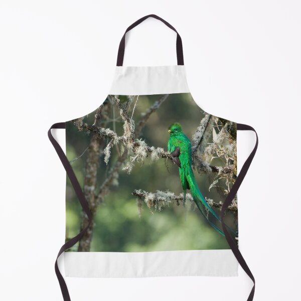 Item preview, Resplendent Quetzal designed and sold by Raymond J Barlow.