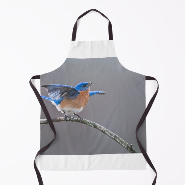 Item preview, Eastern Bluebird designed and sold by Raymond J Barlow.