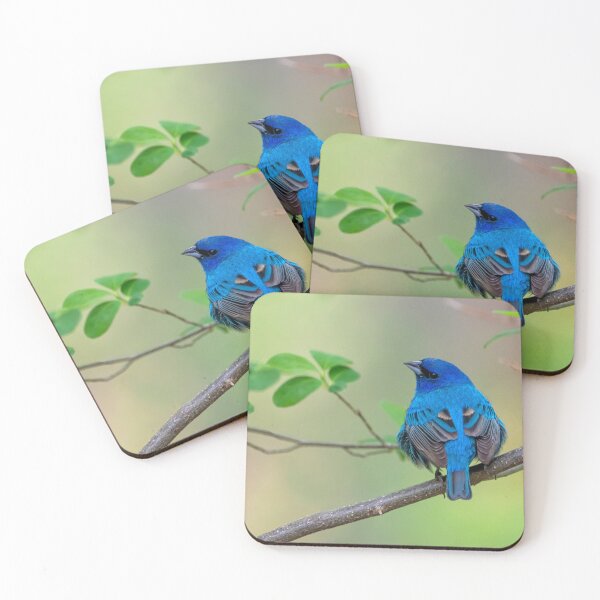 Item preview, Indigo bunting designed and sold by Raymond J Barlow.