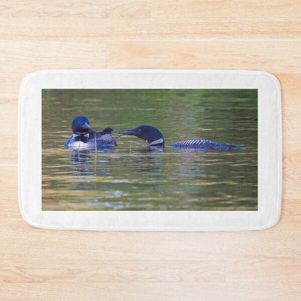 Item preview, Loon Family, Feeding time! designed and sold by Raymond J Barlow.