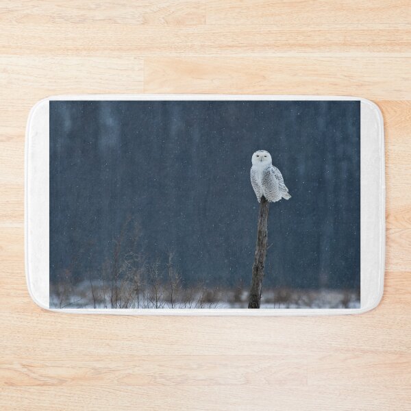 Item preview, Snowy Owy at Rest designed and sold by Raymond J Barlow.