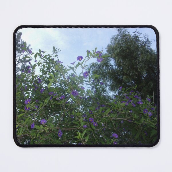 Item preview, THE GARDEN FLOWERS  designed and sold by Tobyhuckels1991.