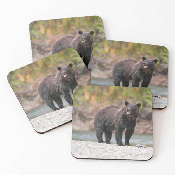 Item preview, Bella Coola Grizzly designed and sold by Raymond J Barlow.