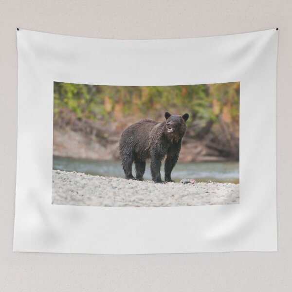 Item preview, Bella Coola Grizzly designed and sold by Raymond J Barlow.