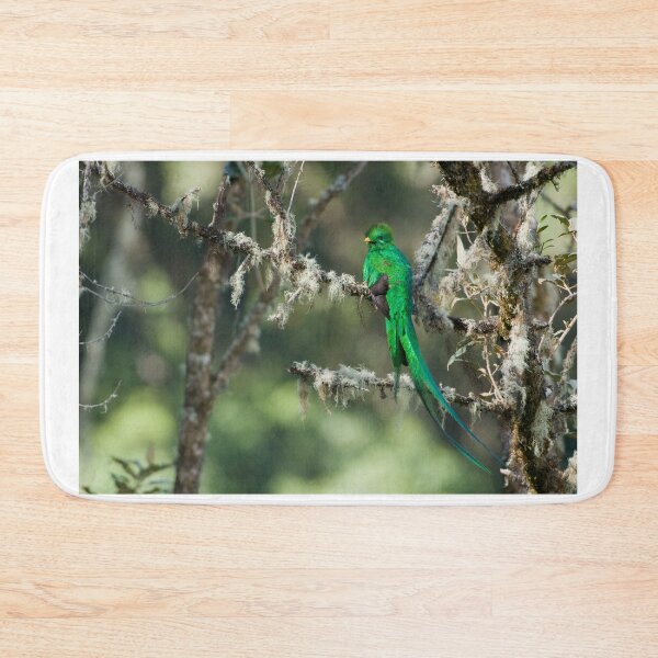Item preview, Resplendent Quetzal designed and sold by Raymond J Barlow.