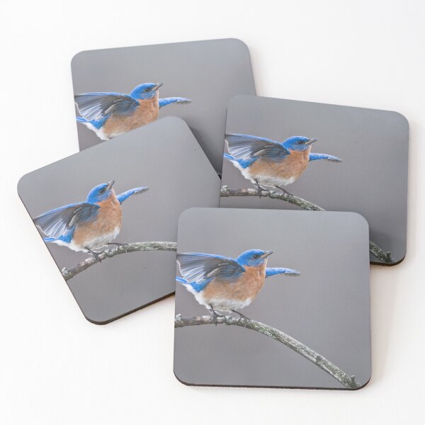 Item preview, Eastern Bluebird designed and sold by Raymond J Barlow.