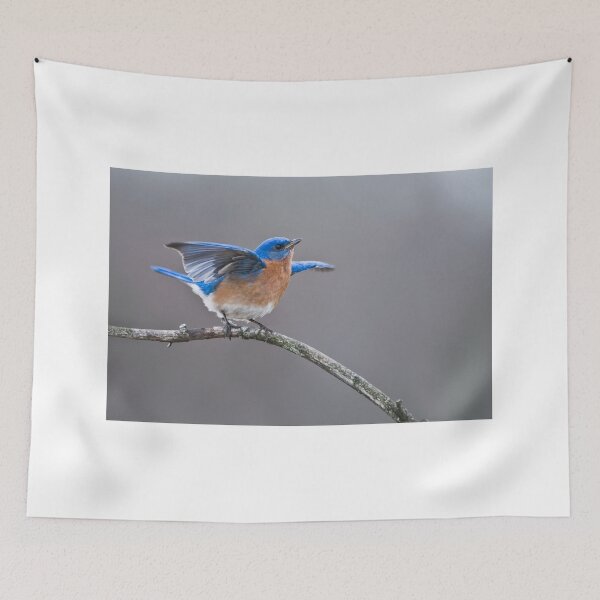 Item preview, Eastern Bluebird designed and sold by Raymond J Barlow.