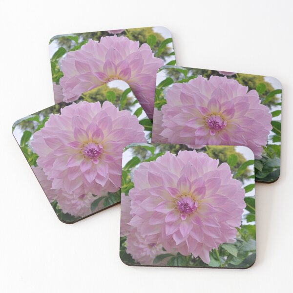 Item preview, Pale Purple Dahlia designed and sold by Claire L Page Photography.