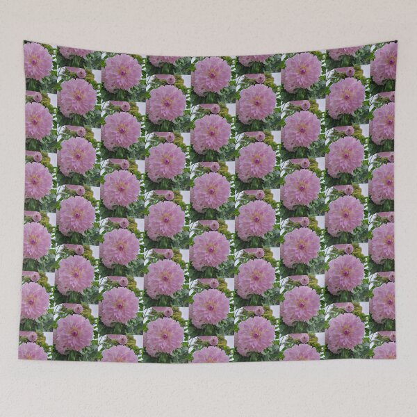 Item preview, Pale Purple Dahlia designed and sold by Claire L Page Photography.