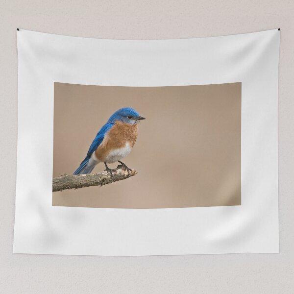 Item preview, Eastern Bluebird designed and sold by Raymond J Barlow.