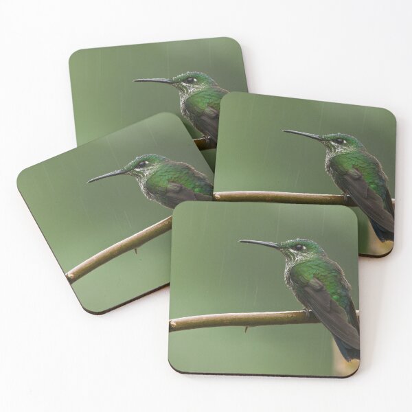 Item preview, Female Green-crowned Brilliant. designed and sold by Raymond J Barlow.