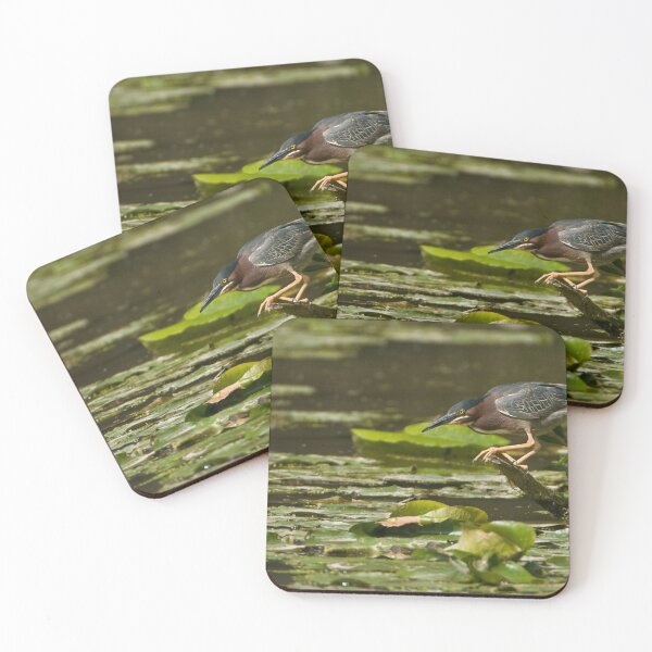 Item preview, Green Heron - Ontario, Canada designed and sold by Raymond J Barlow.
