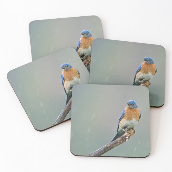 Item preview, Eastern Bluebird - Cayuga, Ontario, Canada designed and sold by Raymond J Barlow.