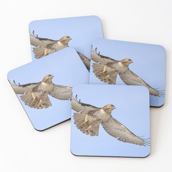Item preview, Red-tailed Hawk 3  - Ontario, Canada designed and sold by Raymond J Barlow.