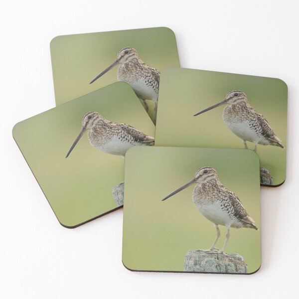 Item preview, Wison"s Snipe - Ontario Canada designed and sold by Raymond J Barlow.