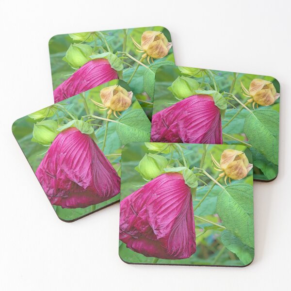 Item preview, Head Bowed Hibiscus designed and sold by Eileen McVey.