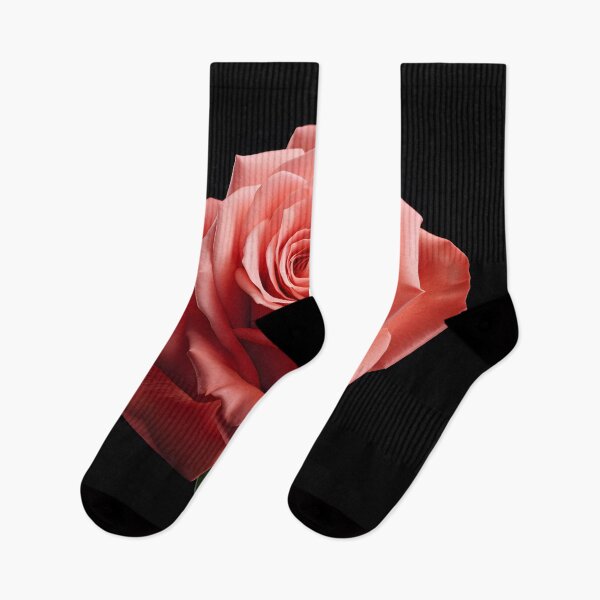 Item preview, Pink-Red rose designed and sold by ooHalloo.