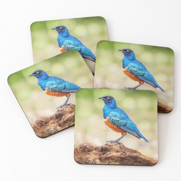 Item preview, Superb Starling Tanzania Africa designed and sold by PhotoArt by Joan Carroll.