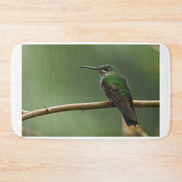 Item preview, Female Green-crowned Brilliant. designed and sold by Raymond J Barlow.