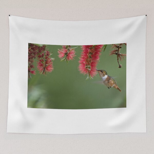 Item preview, Scintillant Hummingbird in Flight designed and sold by Raymond J Barlow.