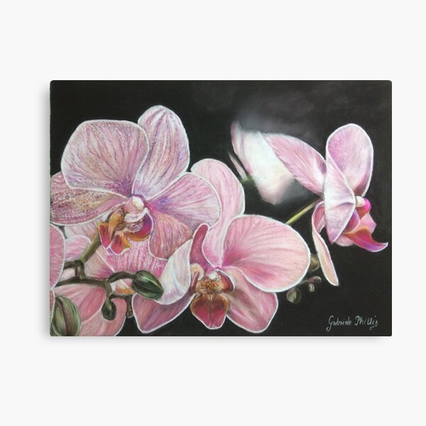 Orchids Canvas Print