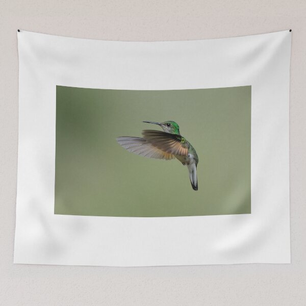 Item preview, Female Stripe-tailed Hummingbird designed and sold by Raymond J Barlow.