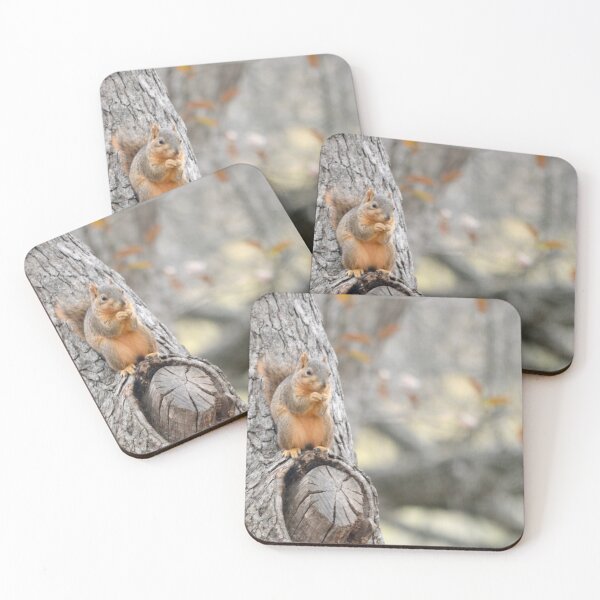 Item preview, A Squirrel Perches designed and sold by MrMartin0520.