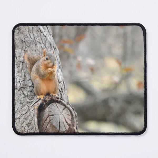 Item preview, A Squirrel Perches designed and sold by MrMartin0520.