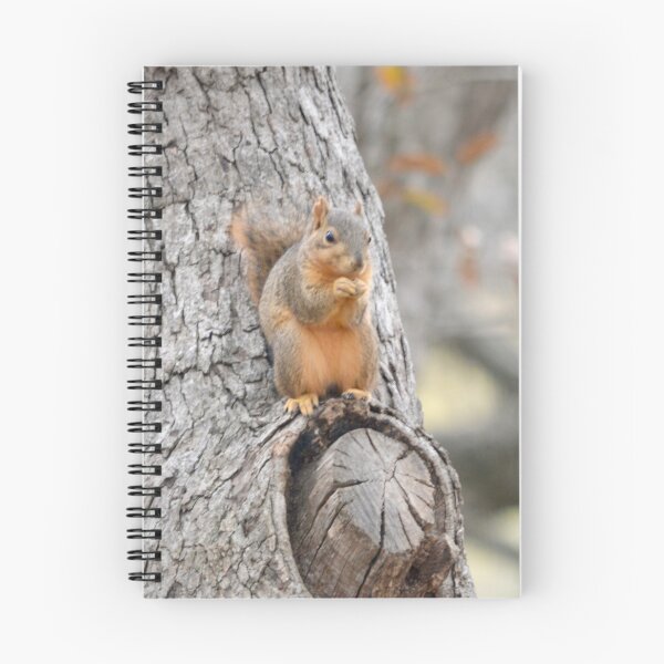 Item preview, A Squirrel Perches designed and sold by MrMartin0520.