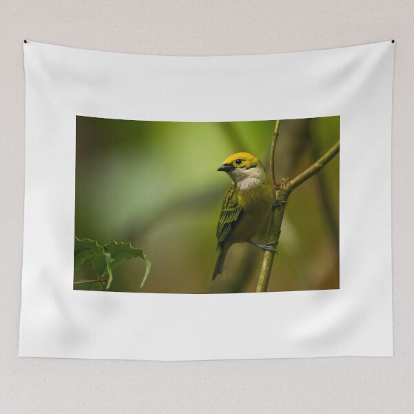 Item preview, Silver-throated Tanager designed and sold by Raymond J Barlow.