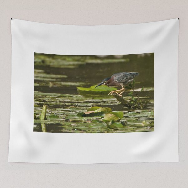 Item preview, Green Heron - Ontario, Canada designed and sold by Raymond J Barlow.