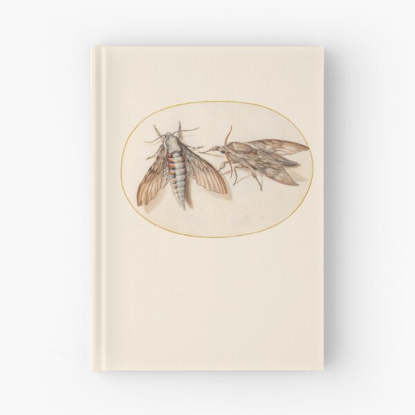 Item preview, Two hawk moths, insect miniature by Joris Hoefnagel. designed and sold by Luggnagg.