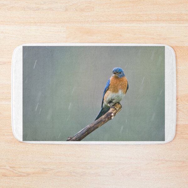 Item preview, Eastern Bluebird - Cayuga, Ontario, Canada designed and sold by Raymond J Barlow.