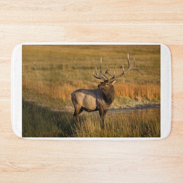Item preview, Elk - Yellowstone National Park - USA designed and sold by Raymond J Barlow.