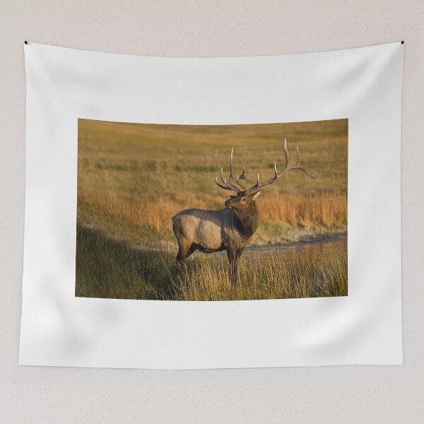 Item preview, Elk - Yellowstone National Park - USA designed and sold by Raymond J Barlow.