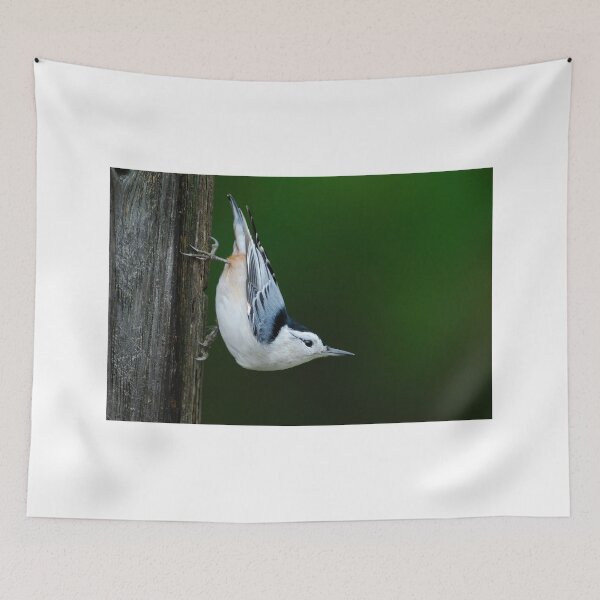 Item preview, White-breasted Nuthatch - Ontario Canada designed and sold by Raymond J Barlow.