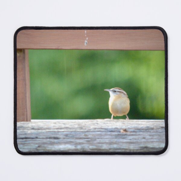 Item preview, A Wren Enjoys the Morning Light designed and sold by MrMartin0520.