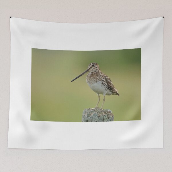 Item preview, Wison"s Snipe - Ontario Canada designed and sold by Raymond J Barlow.