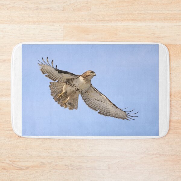 Item preview, Red-tailed Hawk 3  - Ontario, Canada designed and sold by Raymond J Barlow.