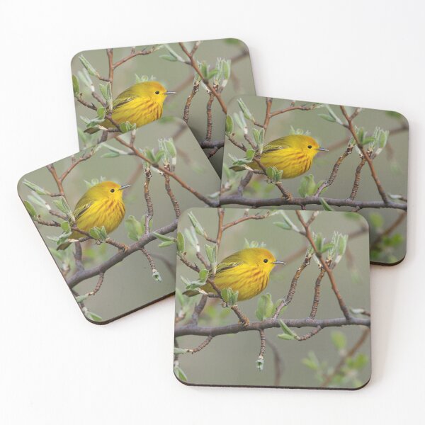 Item preview, Yellow Warbler - Ontario, Canada designed and sold by Raymond J Barlow.