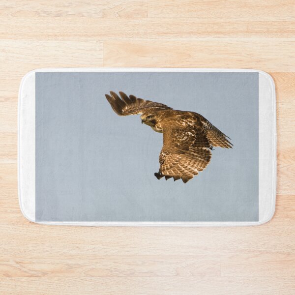 Item preview, Red-tailed Hawk 2  - Ontario, Canada designed and sold by Raymond J Barlow.