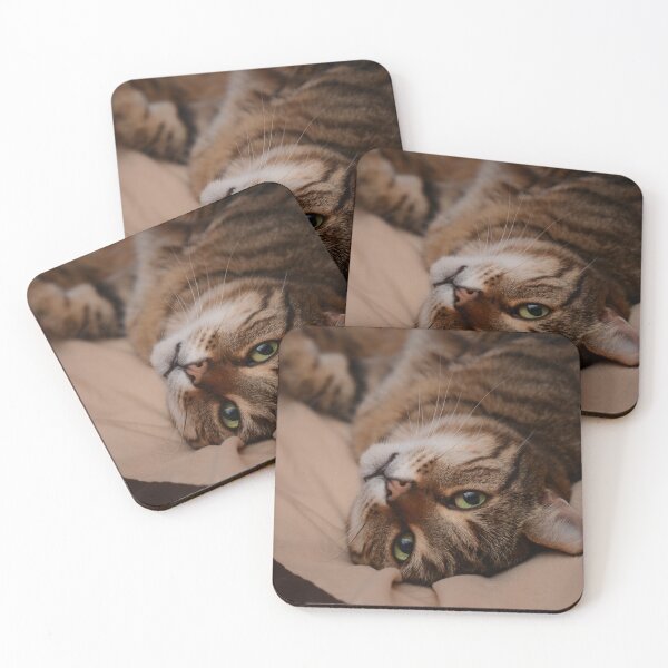 Item preview, Lazing Tabby Cat  designed and sold by Izzy83.