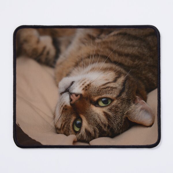 Item preview, Lazing Tabby Cat designed and sold by Izzy83.