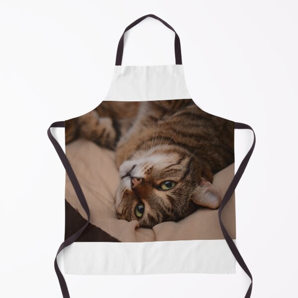 Item preview, Lazing Tabby Cat  designed and sold by Izzy83.