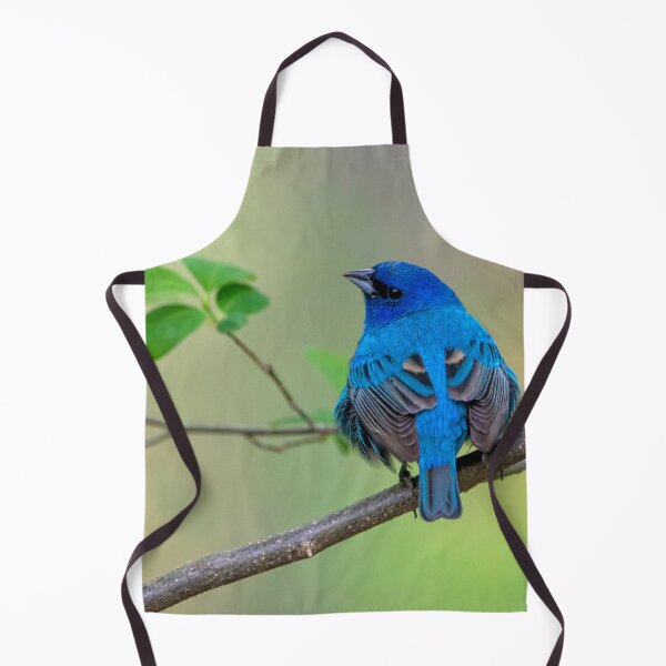 Item preview, Indigo bunting designed and sold by Raymond J Barlow.