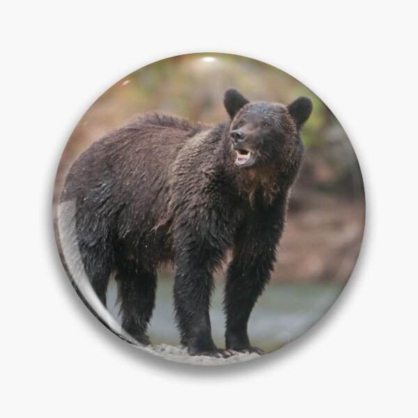Item preview, Bella Coola Grizzly designed and sold by Raymond J Barlow.