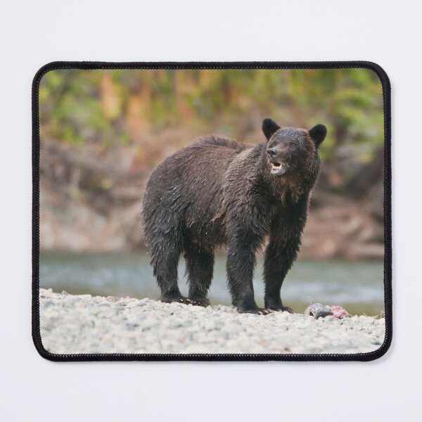 Item preview, Bella Coola Grizzly designed and sold by Raymond J Barlow.