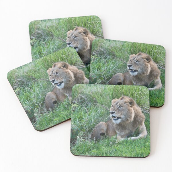 Item preview, Lion in Tanzania designed and sold by Raymond J Barlow.