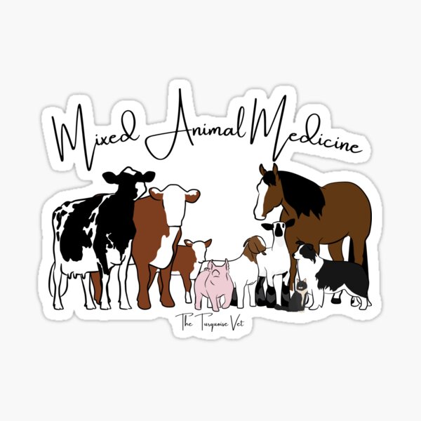Item preview, Mixed Animal Medicine designed and sold by TheTurquoiseVet.